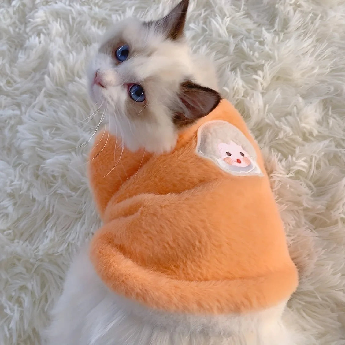 Cats Accessories Pets
