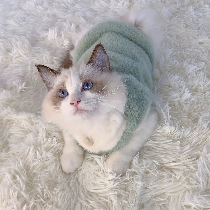Cats Accessories Pets