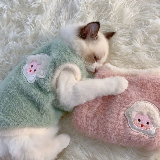Cats Accessories Pets