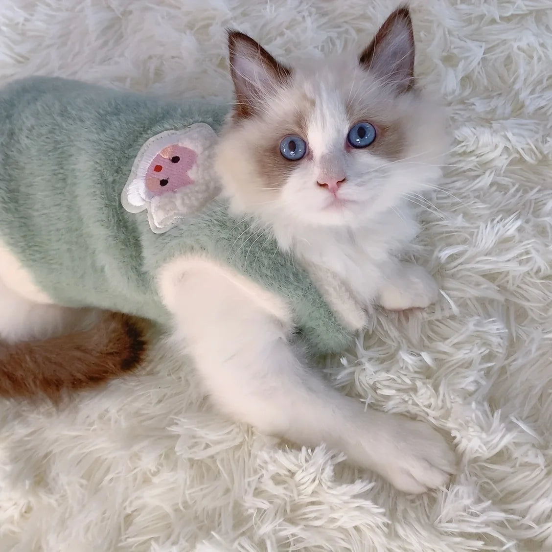 Cats Accessories Pets