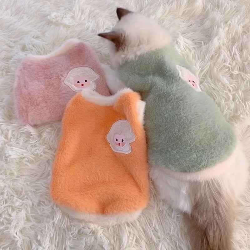 Cats Accessories Pets